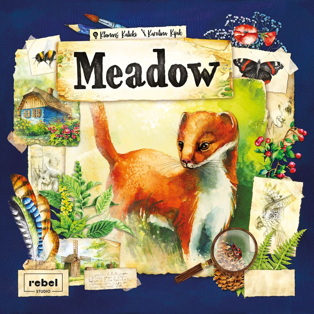 Meadow cover image